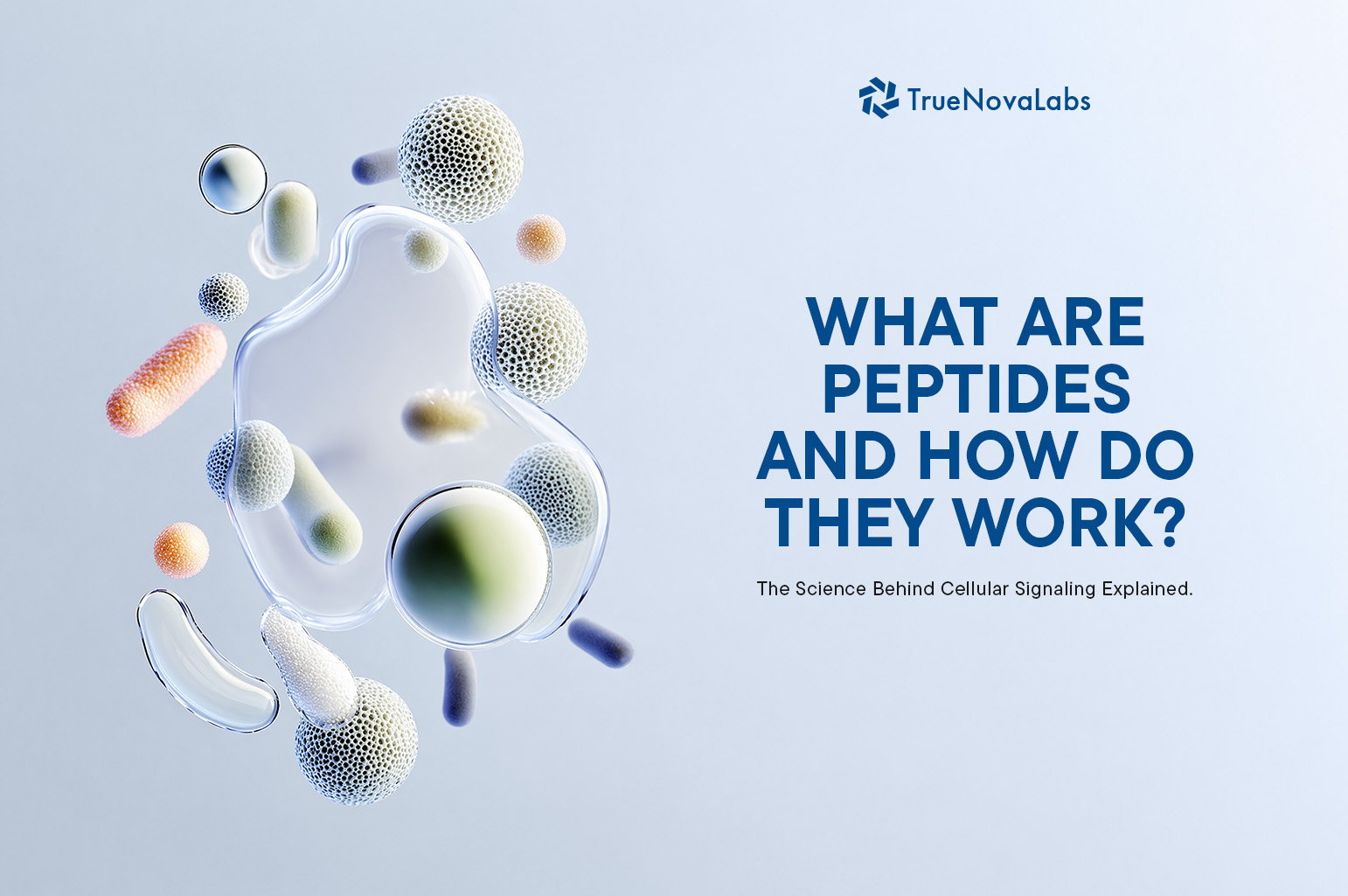 what-are-peptides-and-how-do-they-work-the-science-behind-cellular-signaling-explained