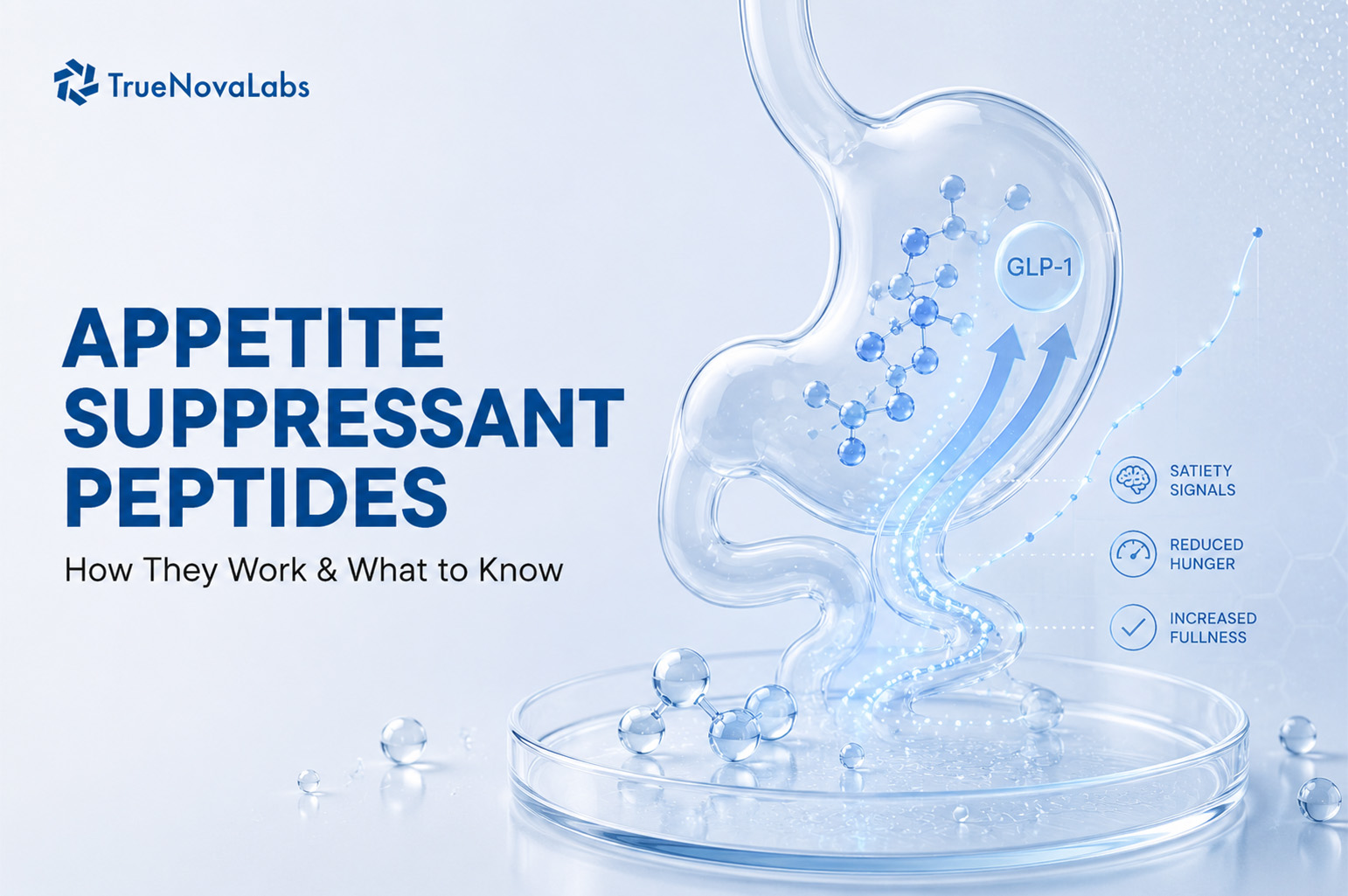 appetite-suppressant-peptides-how-they-work-what-to-know