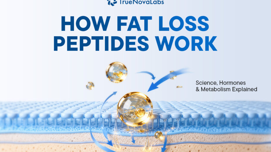 how-fat-loss-peptides-work-appetite-hormones-metabolic-signaling-explained