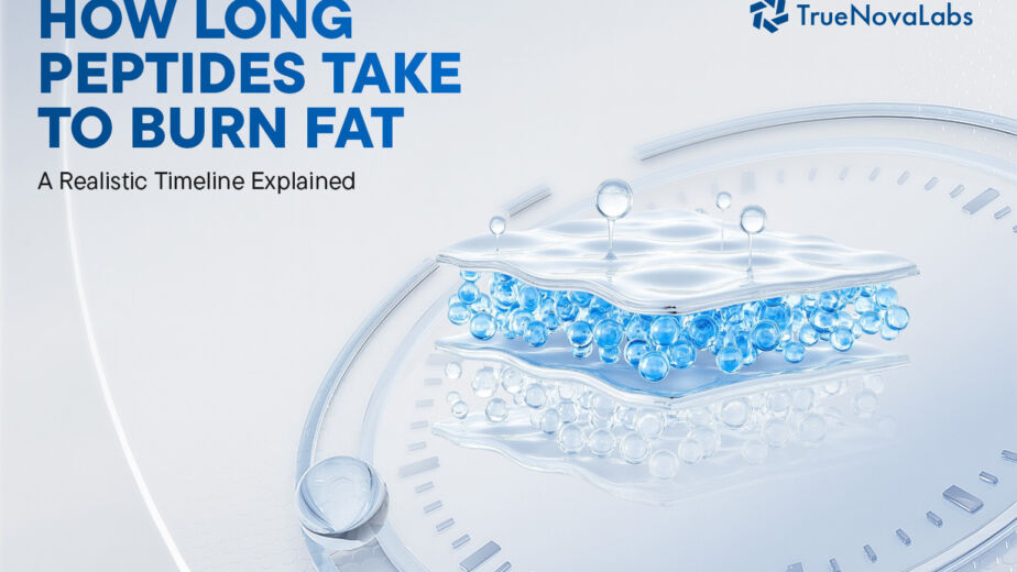 how-long-peptides-take-to-burn-fat-a-realistic-timeline-explained