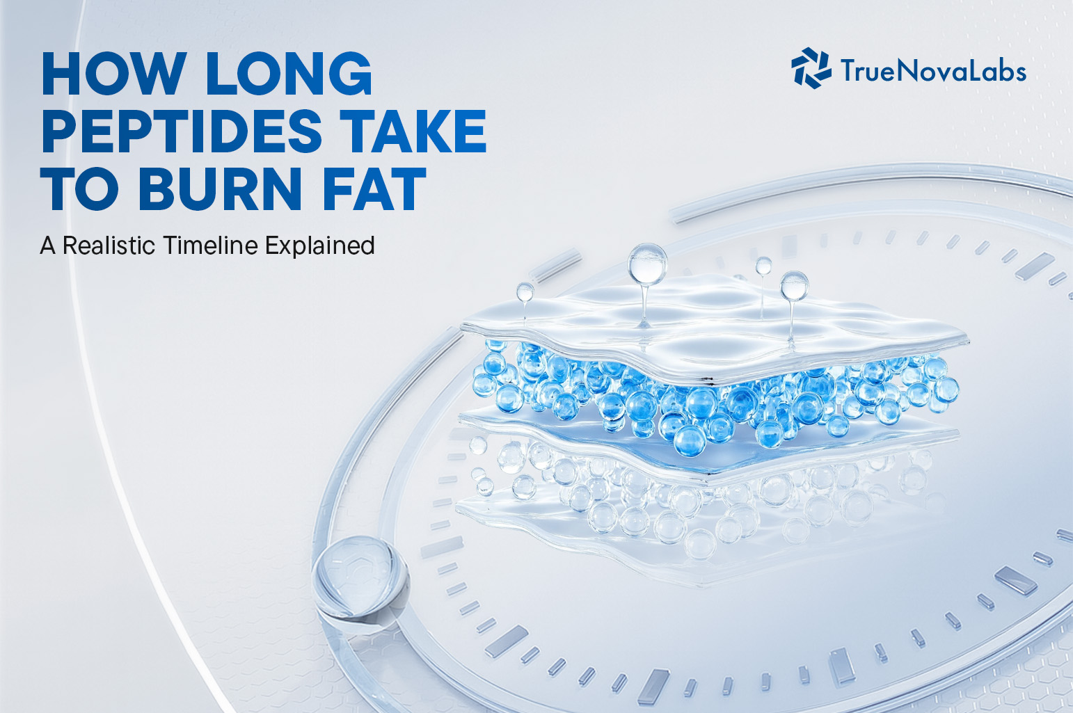 how-long-peptides-take-to-burn-fat-a-realistic-timeline-explained