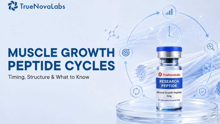 muscle-growth-peptide-cycles-timing-structure-what-to-know
