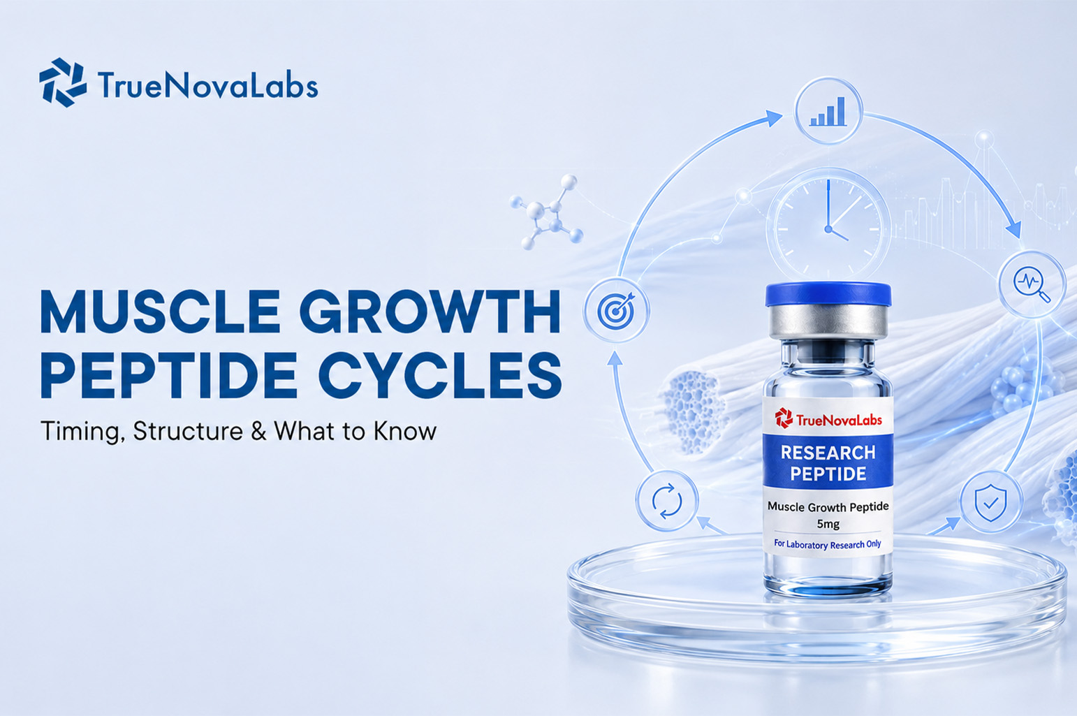 muscle-growth-peptide-cycles-timing-structure-what-to-know