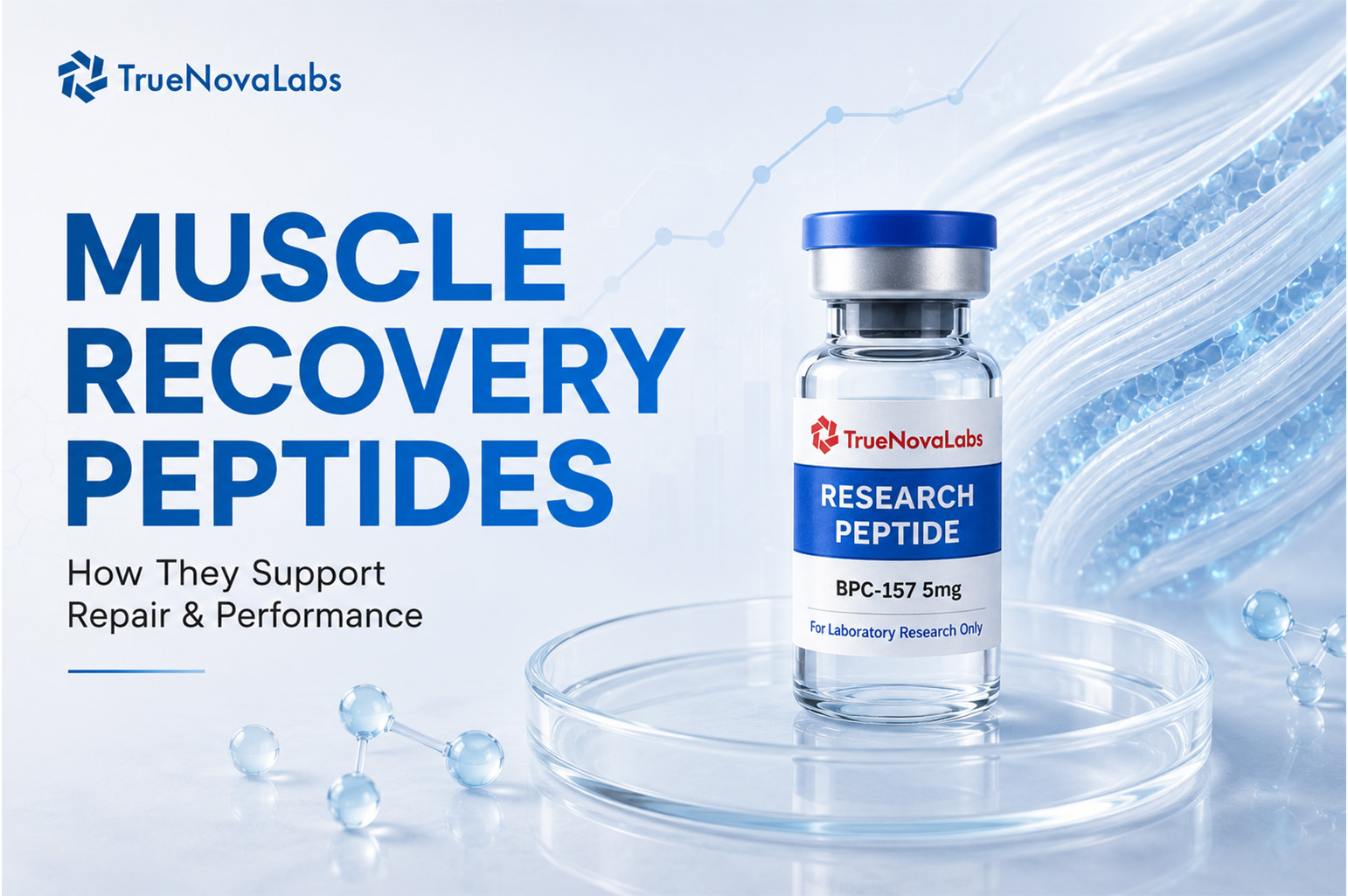 muscle-recovery-peptides