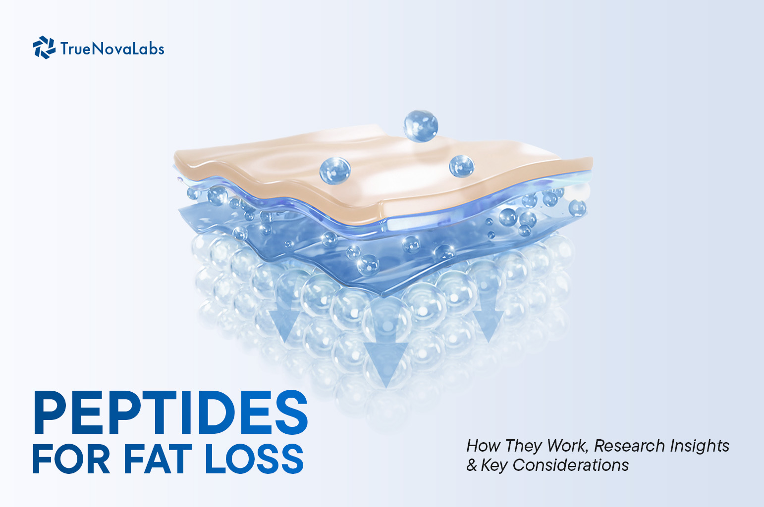 peptides-for-fat-loss-how-they-work-research-insights-key-considerations