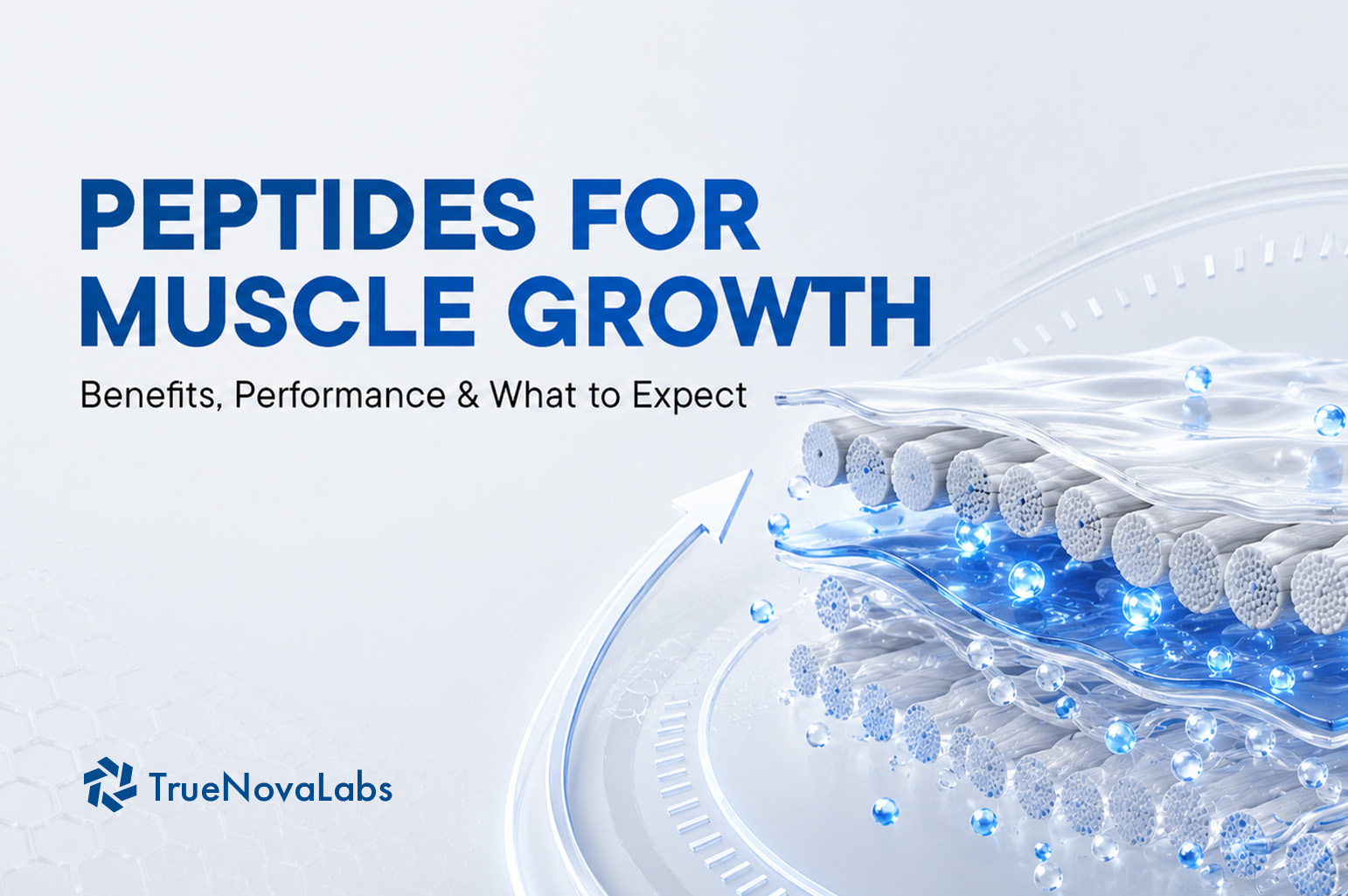 peptides-for-muscle-growth-benefits-performance-what-to-expect