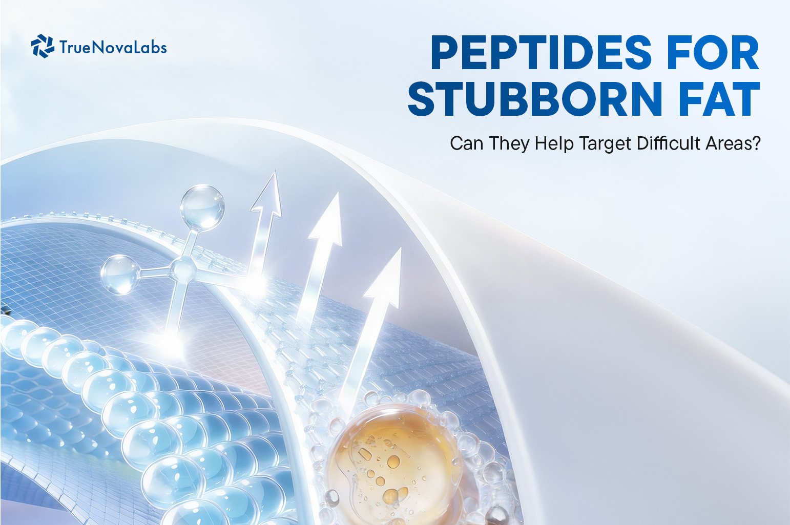 peptides-for-stubborn-fat-can-they-help-target-difficult-areas