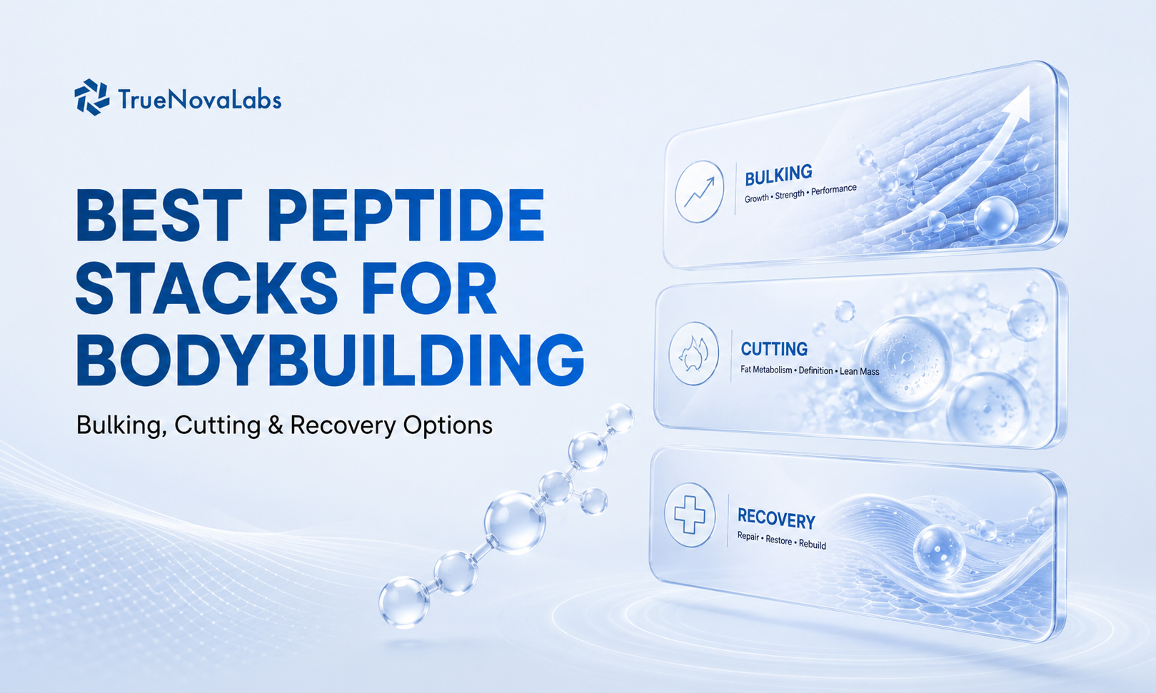 Best Peptide Stacks for Bodybuilding: Bulking, Cutting & Recovery Options