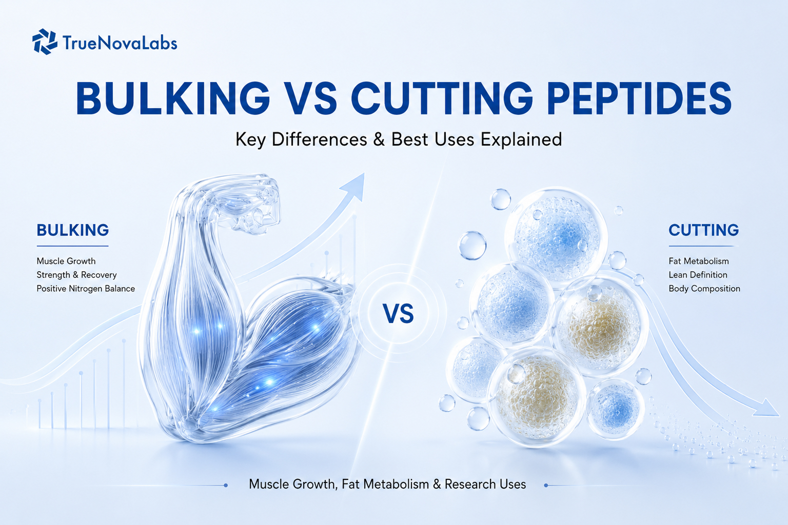 Bulking vs Cutting Peptides: Key Differences & Best Uses Explained