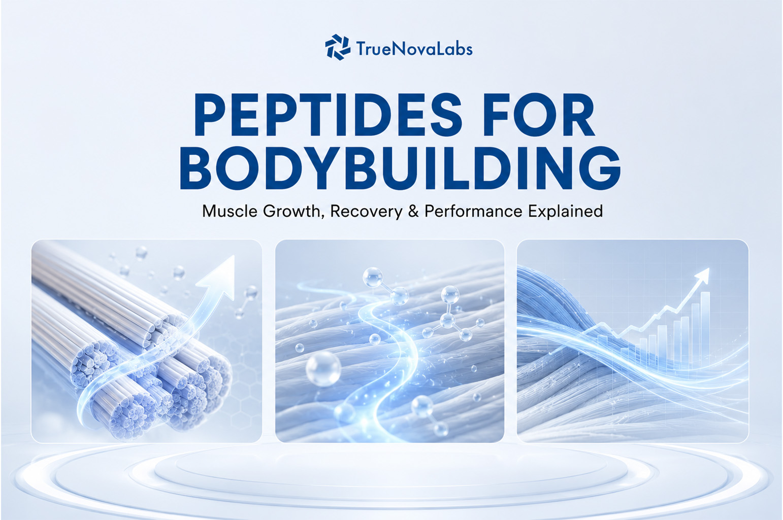 Peptides for Bodybuilding: Muscle Growth, Recovery & Performance Explained