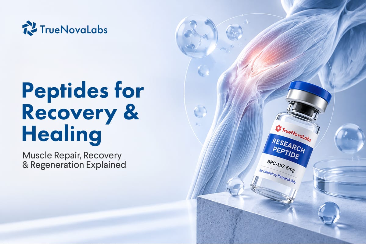 Peptides for Recovery & Healing: Muscle Repair, Recovery & Regeneration Explained